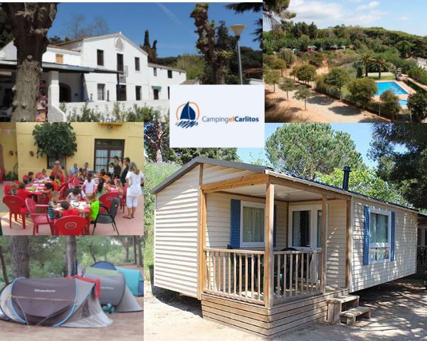 VaneAkari's tweet image. Campings Spain
Os trae
Camping El Carlitos
Para disfrutar de unas vacaciones  sensacinales
campingelcarlitos.com