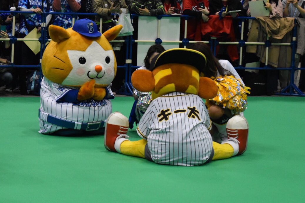 ぐるたん かわいいが過ぎてずっと眺めて居られる 3 19 Db スターマン キー太 セ リーグファンミーティング18