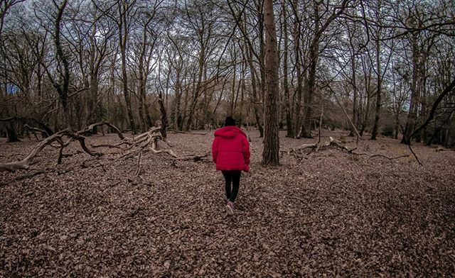 Not afraid #thenewforest #streetexposure #metsphotography_net #britishcountryside #hampshire #splendid_earth #tv_strideby #natureromantix #brilliantbritain #capturingbritain_nature #fiftyshades_of_nature #ig_naturegallery #leagueoflenses #natureshooters #nexlevelpix #ig_natu…