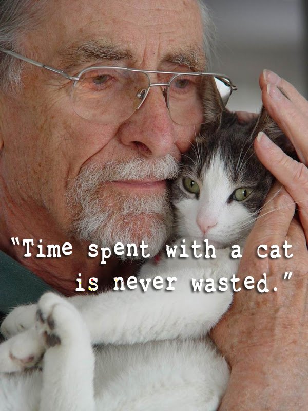 I think we can all relate to this picture...