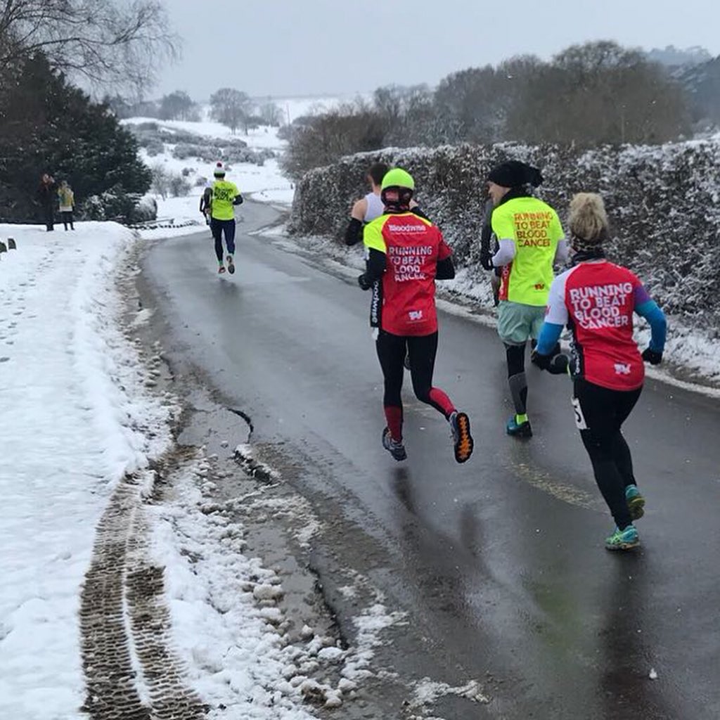 Bradley Nelson tweet media