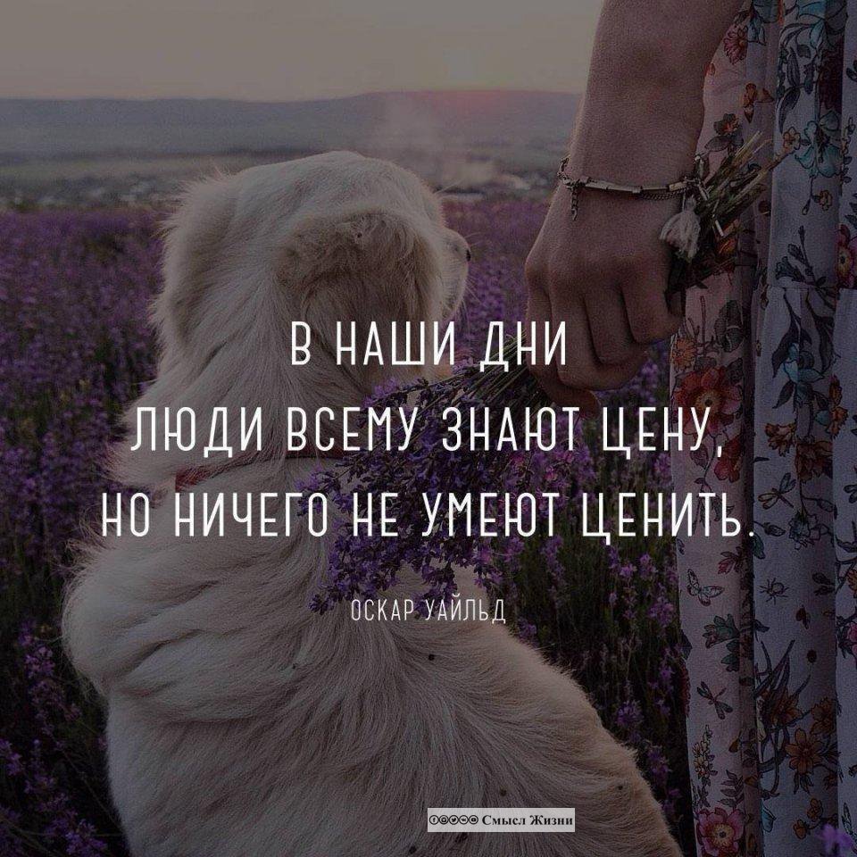 Картинки с надписями цени себя