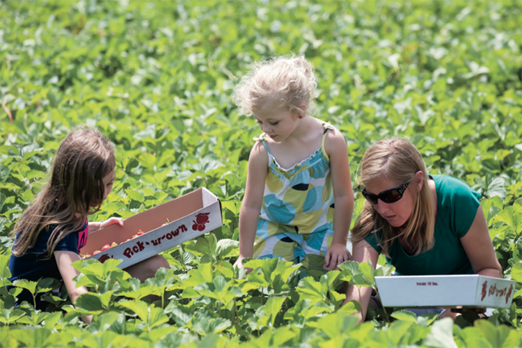 MichDeptofAg's tweet photo. Women are thriving in Michigan's agriculture industry! Hear the stories of these #WomenInAg who own and operate successful farms throughout Michigan. https://t.co/TU9smGjAY1  #MondayMotivation #MIAgMonth https://t.co/PZGPwdSQrU