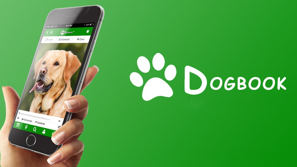 ApptunixUS's tweet photo. f you are looking for top mobile app development company then your search is over. At Apptunix we turn into amazing apps. Our technological expertise can help you build a supreme app for your business.
https://t.co/eitxMxHMiz
#petdevelopment #petapps #businessidea #entreprenuer https://t.co/GNLFVKDaCB