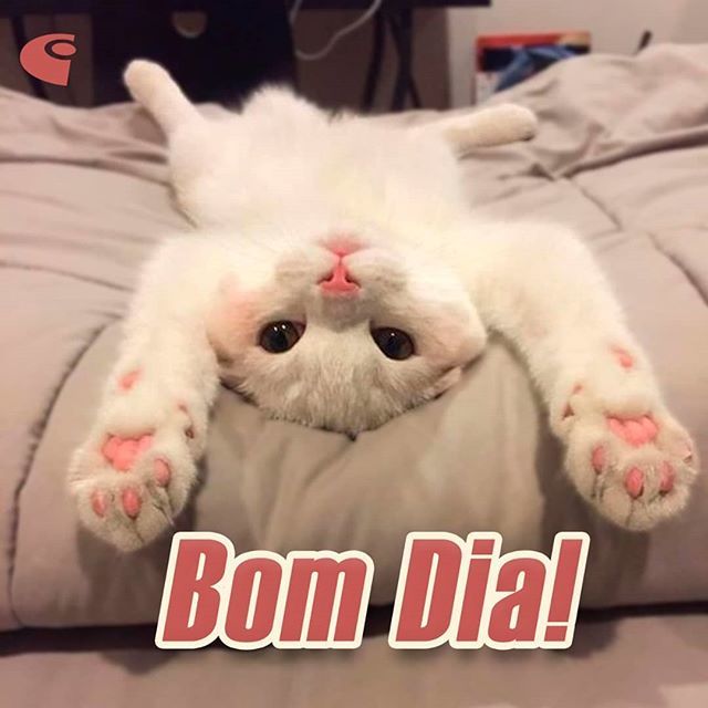 Compuletra on Twitter: Compuletra on Twitter: