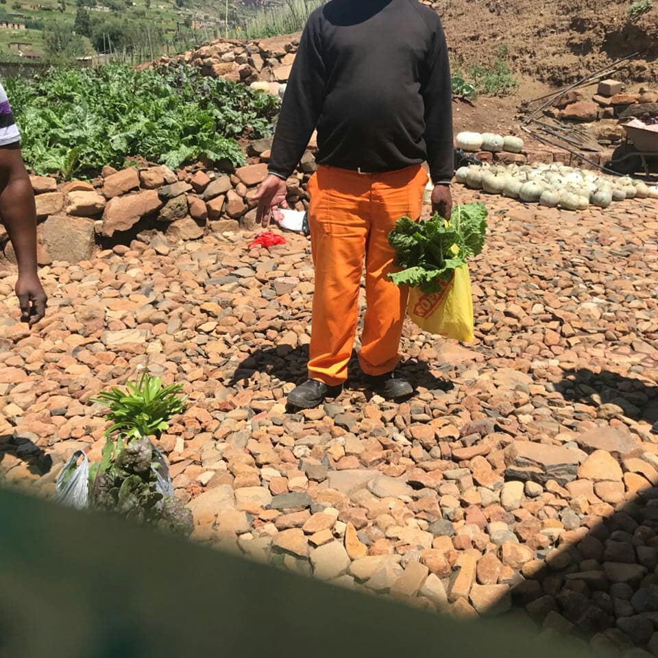 MDA_2017's tweet photo. Some of our direct beneficiaries that have been trained on food security and have started their own gardens and are selling to the community  of Qwaqwa..
#sustainable development https://t.co/vZPmx8iL9i