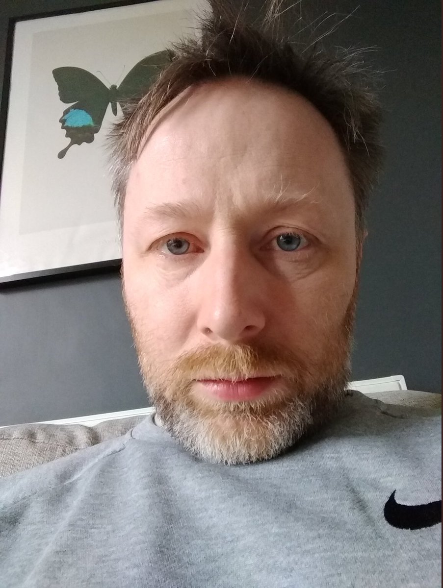 TheBlackDog tweet media