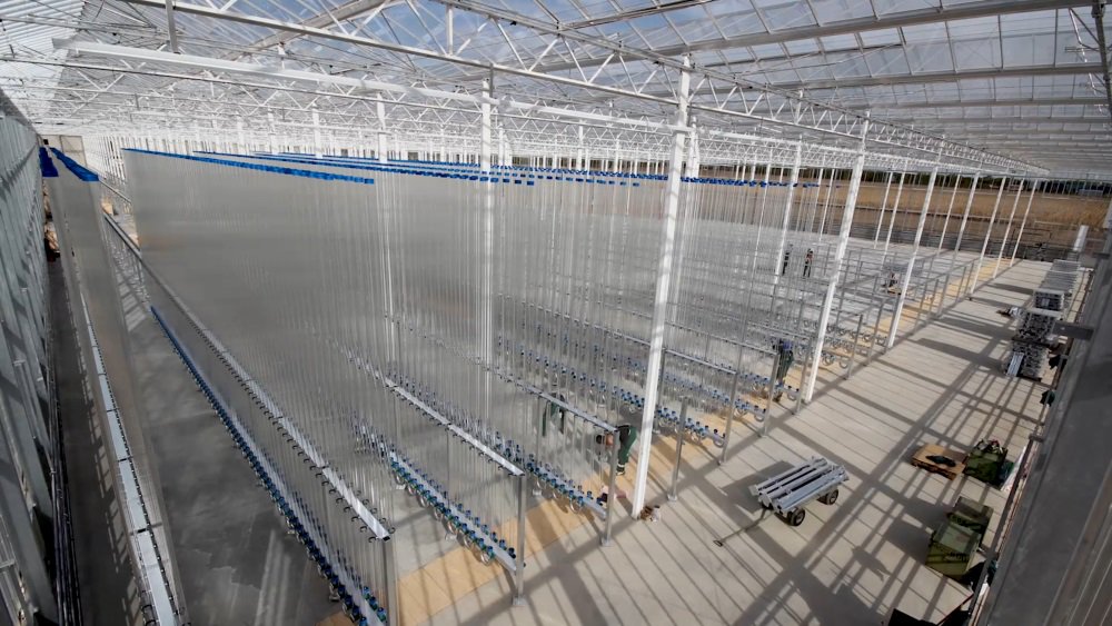 Value_Mag's tweet photo. A fresh #microlagae news from a member of our consortium! Austrian company @ecoduna has today commissioned the largest vertical plant for microalgae cultivation in Europe.
https://t.co/9WVSkqodJR https://t.co/qfTkusnyFK