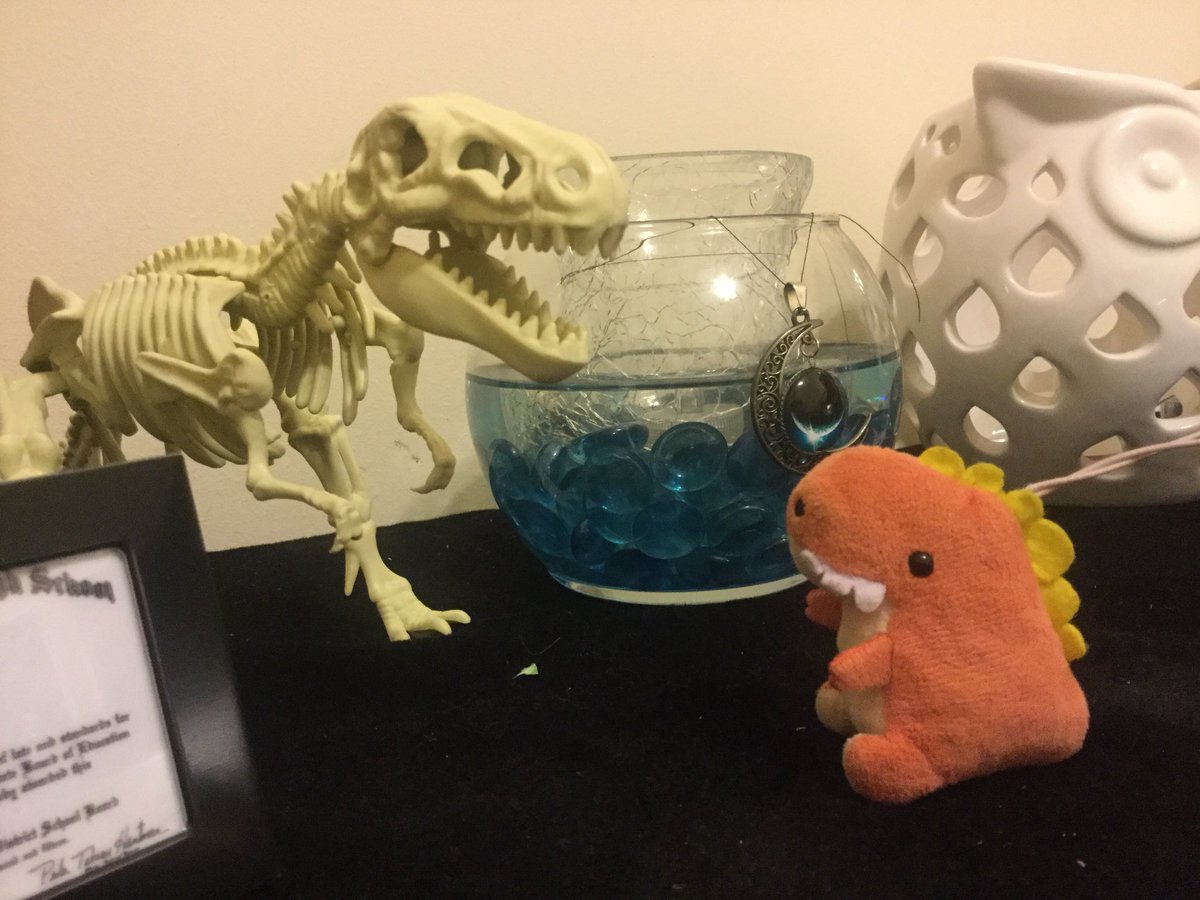 CaitsBlog's tweet image. He stare