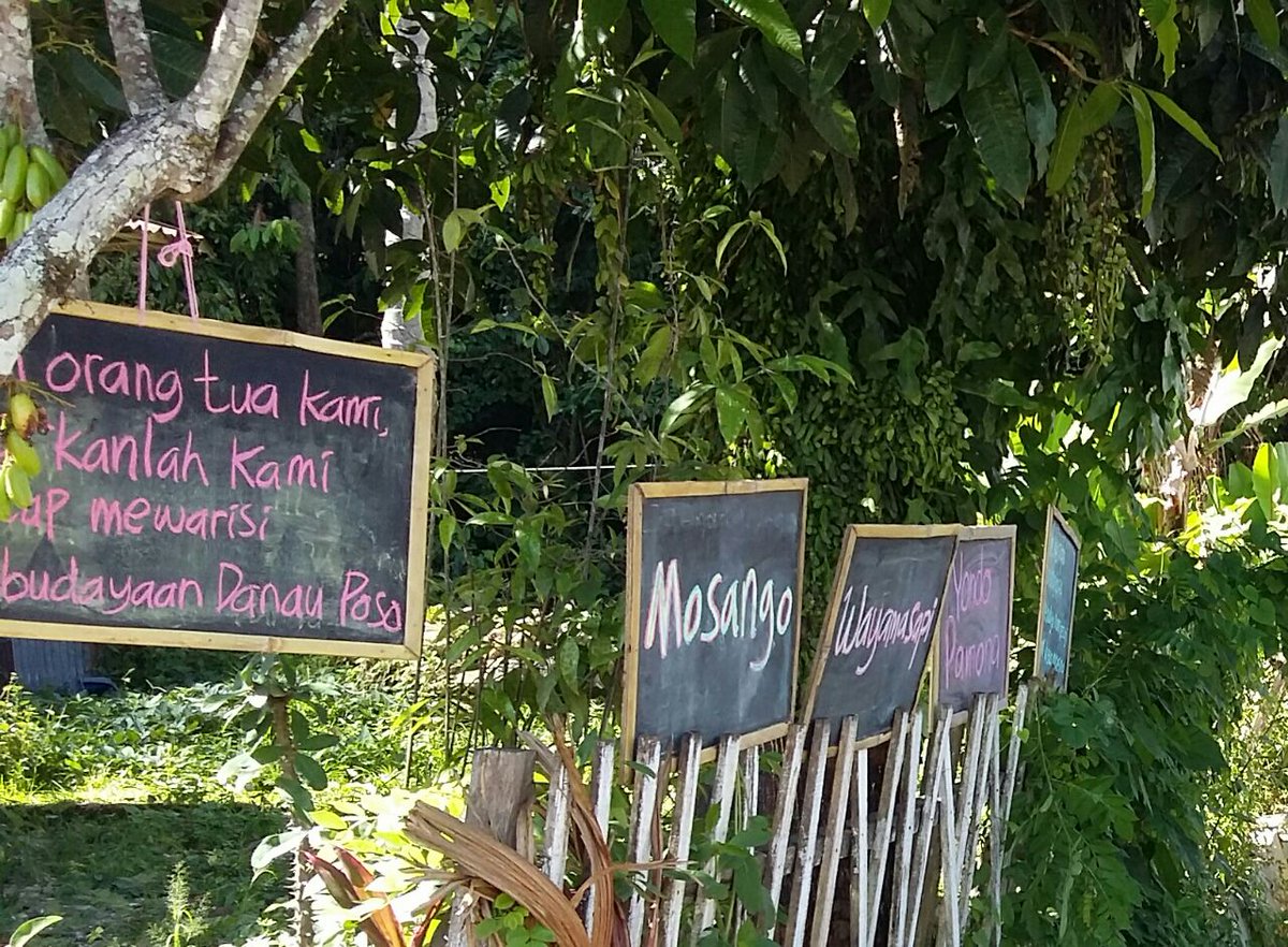 Syair dari anak muda Poso serukan agar budaya Poso terjaga ekosistemnya, tolak Danau Poso dikeruk PT Poso Energy u/ gerakkan turbin PLTA #anakmudaPoso #anakposo #poso #budayaposo