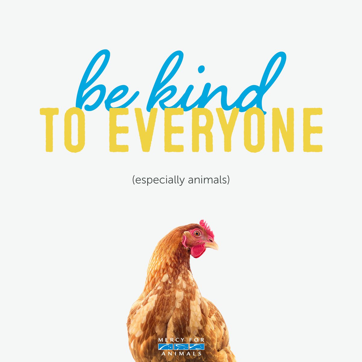 MercyForAnimals's tweet photo. Be kind to everyone (especially animals)! 💙 https://t.co/PJtWuV72j8