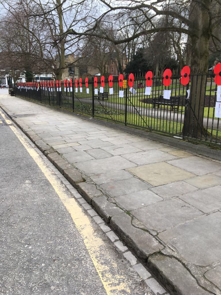 Poppies remember fallen soldiers thenorthernecho.co.uk/news/16083825.…

.@YORKS_REGT were in #Richmond decorating railings in #FriaryGardens honouring the fallen. @GreenHowards @yshiresociety @PoppyLegion