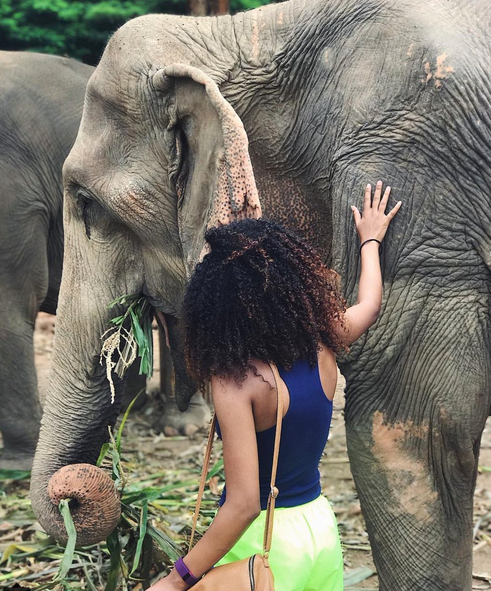 We chose to volunteer at Elephant Nature Park because they take in previously abused elephants and do not support elephant riding.  We had the opportunity to feed the elephants, learn some of their personal stories, and watch them bathe in the river.  bit.ly/2FDrE2C
