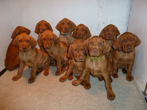 Racers members, check your e-mail for an equipment update.