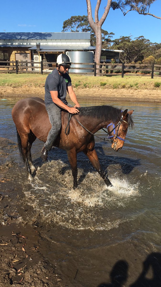 annawatson79's tweet photo. Nick who thinks he is ready to ride trackwork at Randwick racecourse #BillandBoz please set the record straight boys #toconfident #hadhisfirstfall https://t.co/rv4MJiOQxp