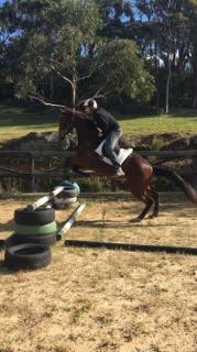 annawatson79's tweet photo. Nick who thinks he is ready to ride trackwork at Randwick racecourse #BillandBoz please set the record straight boys #toconfident #hadhisfirstfall https://t.co/rv4MJiOQxp