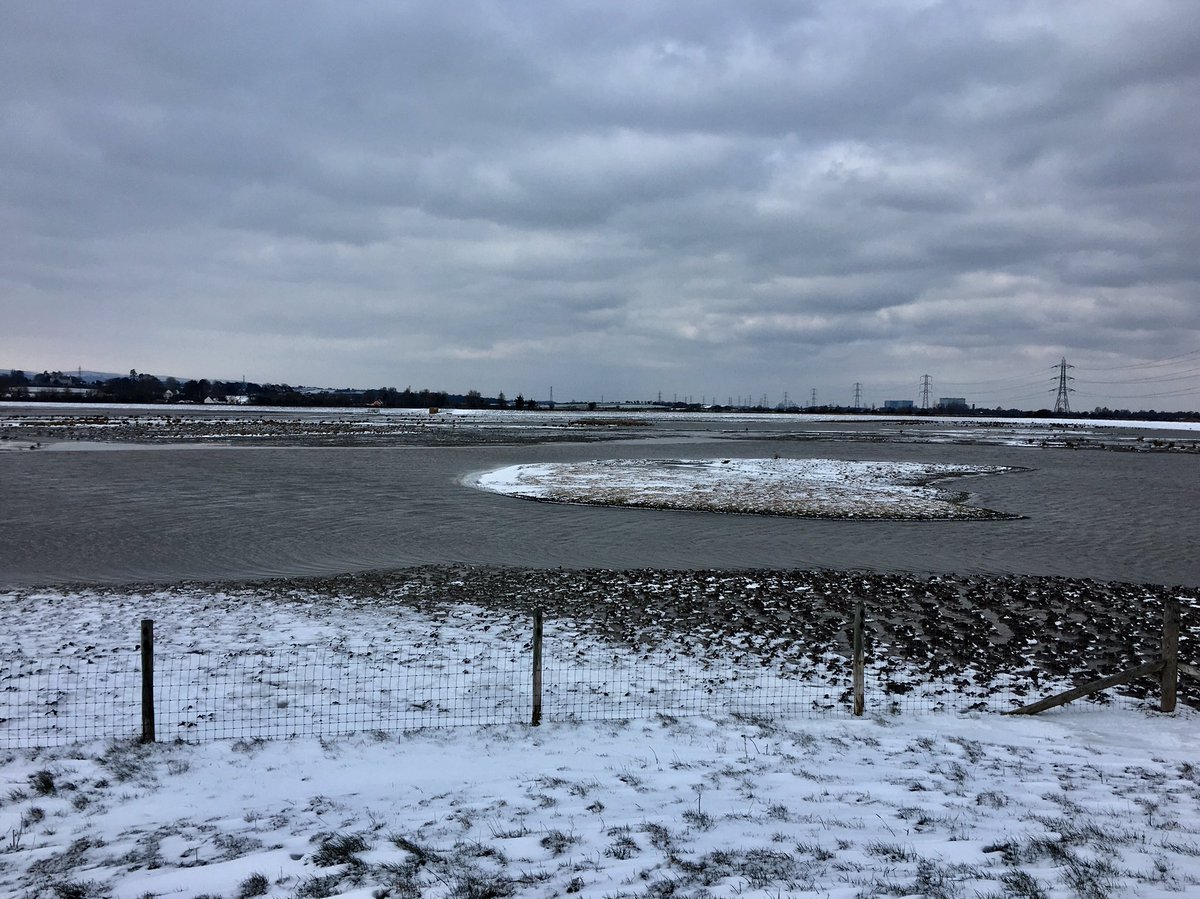 WWTSteart's tweet photo. Site looking pretty in the snow. Male Wheatear seen by mendip hide at around 10.15. https://t.co/vTzz1m8rPQ