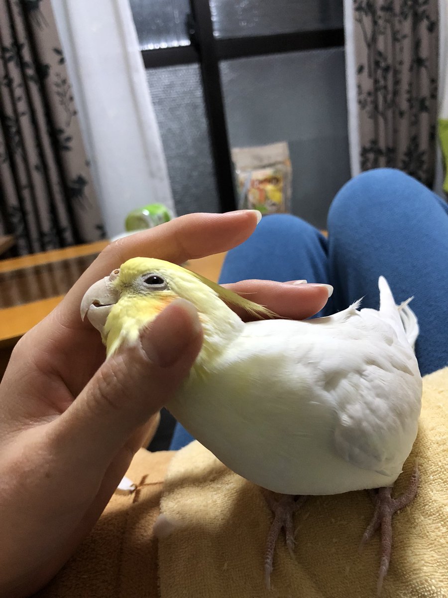 しばらく構ってあげられてなくてごめんね💦