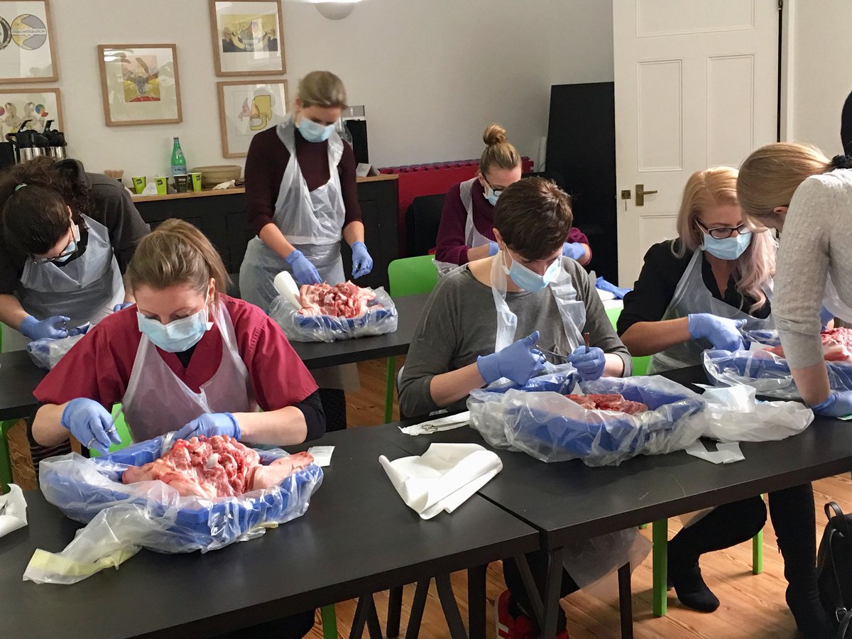 DTAcademy1's tweet photo. Students taking part in the practical element of our Suture Removal Course last Friday #sutureremoval #practical #postoperative #oralsurgery #extractions #cpd #suturematerial #technicalskills https://t.co/UaKhfG2u2w
