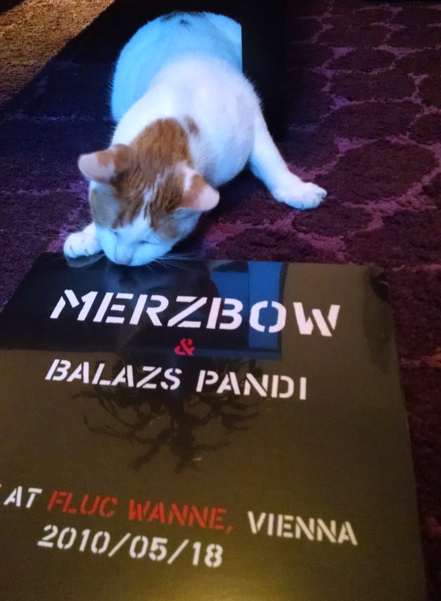 DryLungsRecords's tweet photo. #catslovevinyl - @MerzbowOfficial & #balazspandi - #live at #flucwanne #vienna - #drylungsrecords debut release from 2010, still hot & available! - so good your #cat will try to #steal it! #kalithecat #catsmeow #katzen #lieben #schallplatten #wien #noise #drums #vinyl https://t.co/6UN7kTbk3G