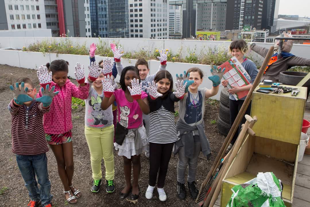milieucentrum's tweet image. Nog steeds geen duidelijkheid over het voortbestaan van #Dakkennie 't mooie #educatieprogramma op de #DakAkker voor de kids van #Rotterdam-se basisscholen over #voedsel, #water, #biodiversiteit ... scholen nu afgebeld !