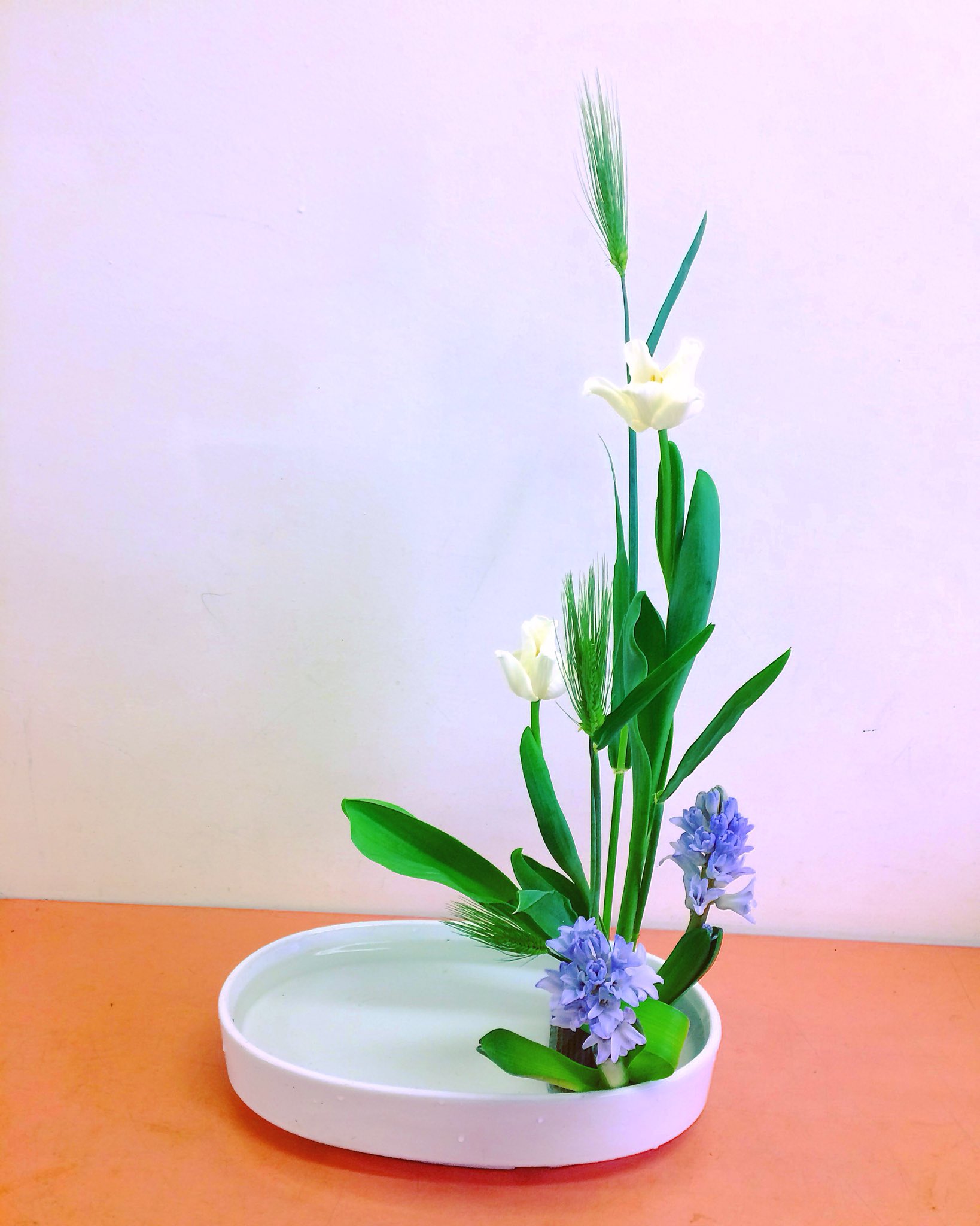 いけばな小原流 伊藤豊扇教室 花意匠 たてるかたち応用 むぎ ヒヤシンス チューリップ さわさわゆれる 花 いけばな 生け花 活け花 生花 活花 華道 小原流 伊藤豊扇教室 Flower Ikebana Ohararyu Japanesetradition 花のある