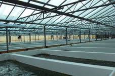 من الاخطاء الشائعه التى يقع فيها اصحاب المزارع السمكيه هى 
=عدم تاسيس بيارات داخل الاحواض سواء بالاحواض الاسمنتيه او الاحواض الارضيه المبطنه 
=عدم تاسيس جسر غاطس داخل الحوض وذلك يكون بالمزارع الترابيه ذات النظام الموسع المفتوح احواض كبيره
= عدم عمل ميول باتجاه الصرف فى النظامين