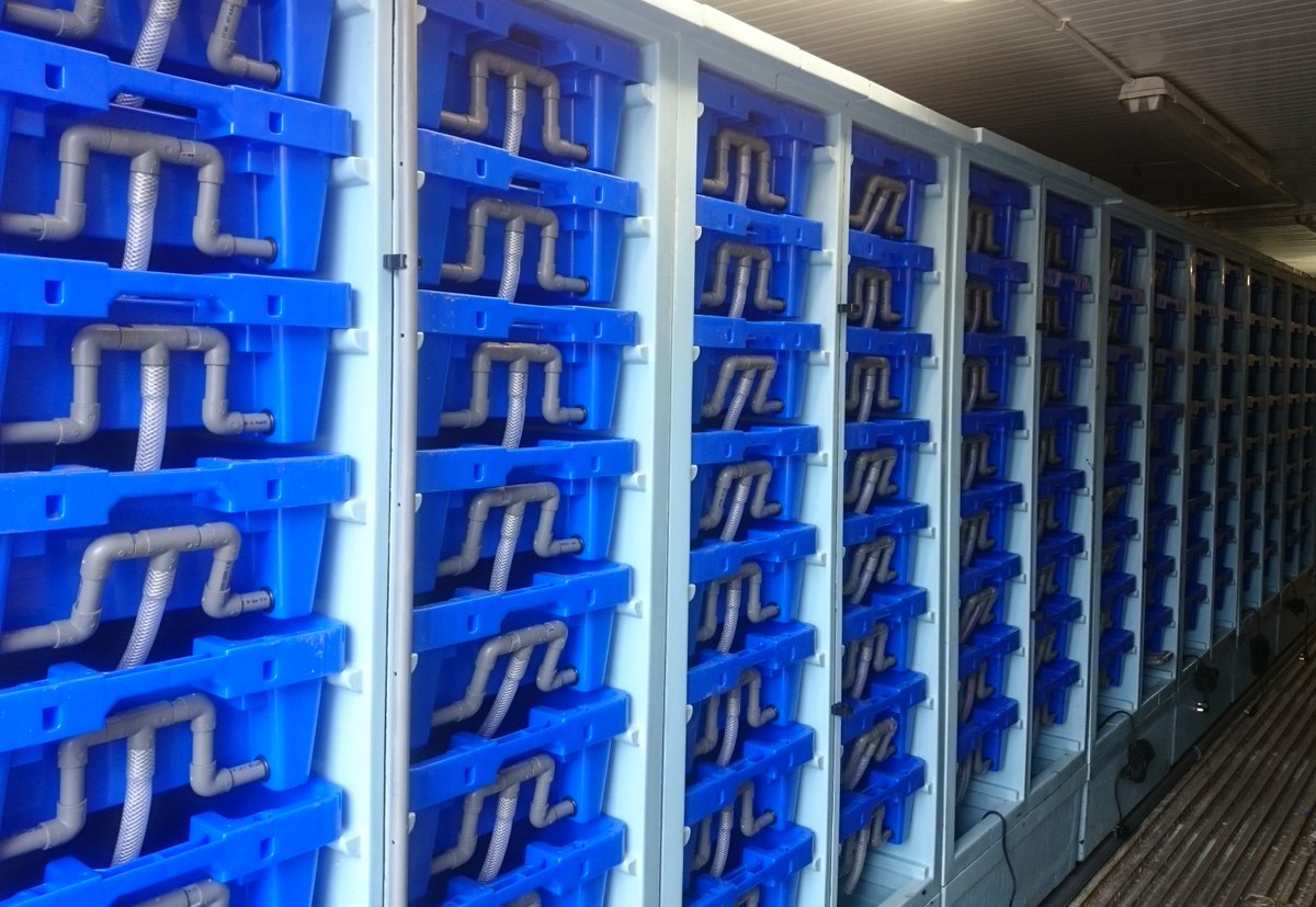 ToddFishTech's tweet photo. Would anyone like a copy of our new #shellfish systems catalogue featuring #LobsterPod #depuration #lobsterhactheries #lobstertanks? @ValhallaSY549 @buyscottish https://t.co/s8MknjdH4M