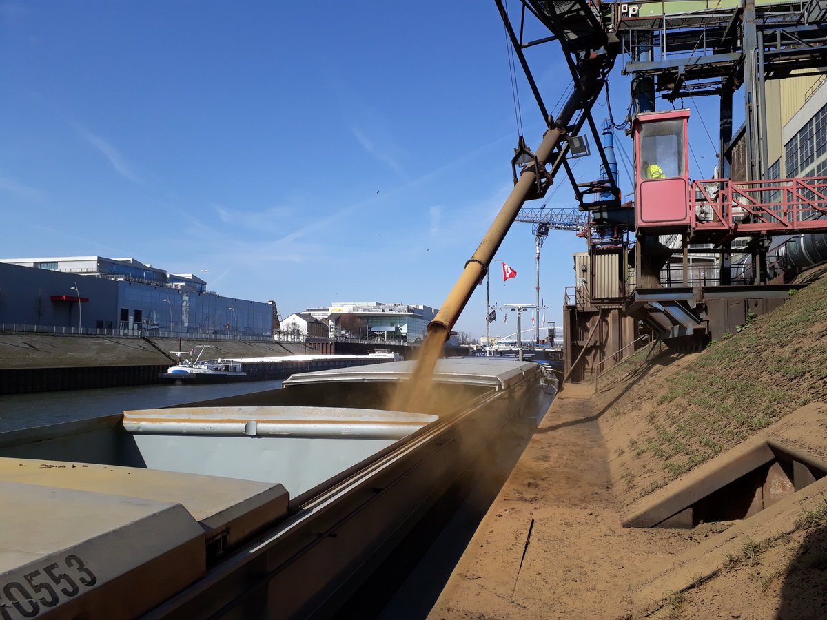 ms_Cuore's tweet photo. Voor de 3e keer achter elkaar het scheepje vullen met raapschroot. Deze ronde voor Grobbendonk. #Raapschrootexpress https://t.co/9D95lUiPUt