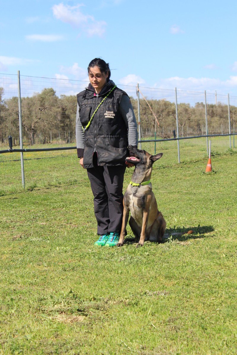 Edudog1's tweet image. 📍📷 La prima delle tre lezioni di #Obedience con Claudia Locuratolo del 17 e 18 marzo che si inserisce nell'ambito del corso educatori istruttori #cinofili 2017/2018 🙋‍♀️🐕