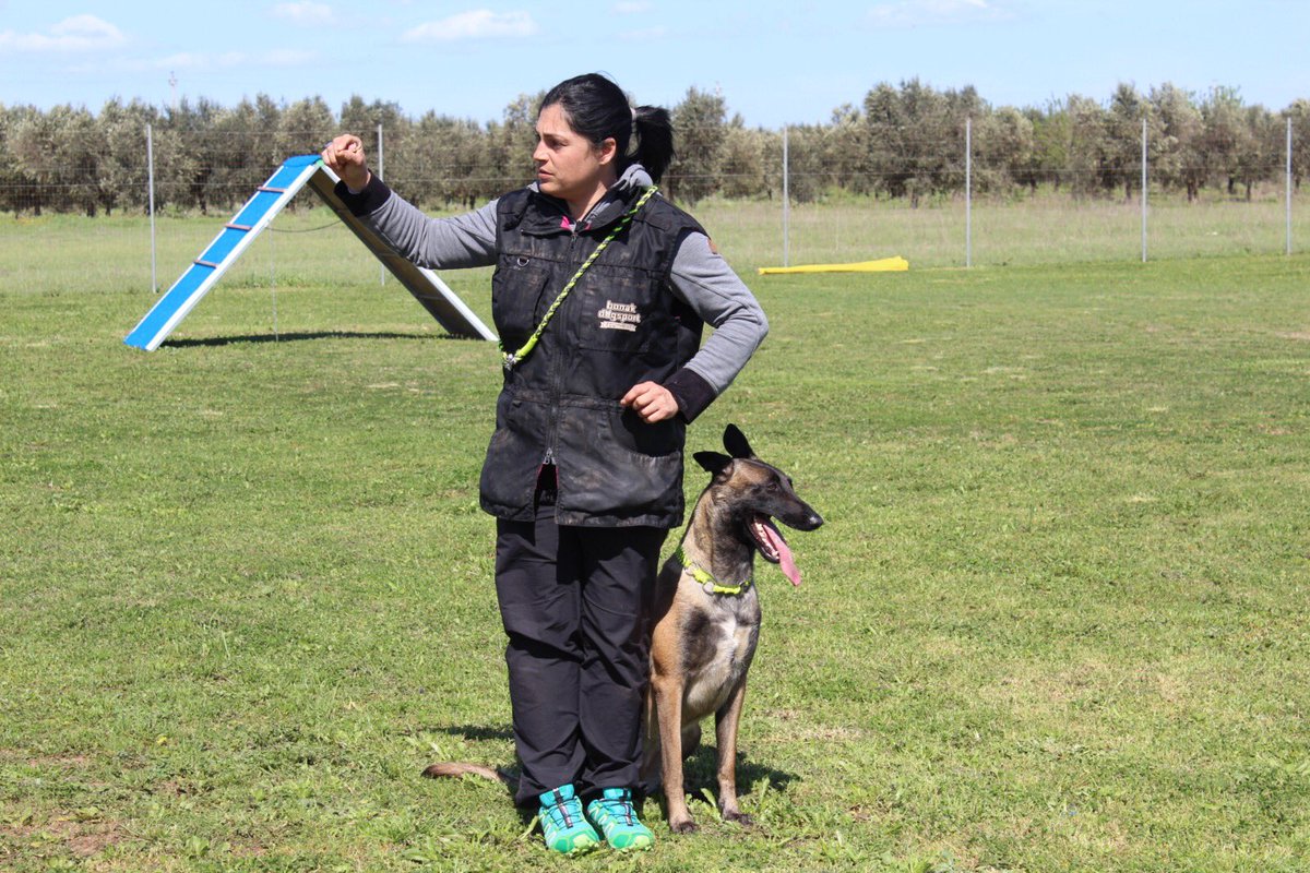 Edudog1's tweet image. 📍📷 La prima delle tre lezioni di #Obedience con Claudia Locuratolo del 17 e 18 marzo che si inserisce nell'ambito del corso educatori istruttori #cinofili 2017/2018 🙋‍♀️🐕