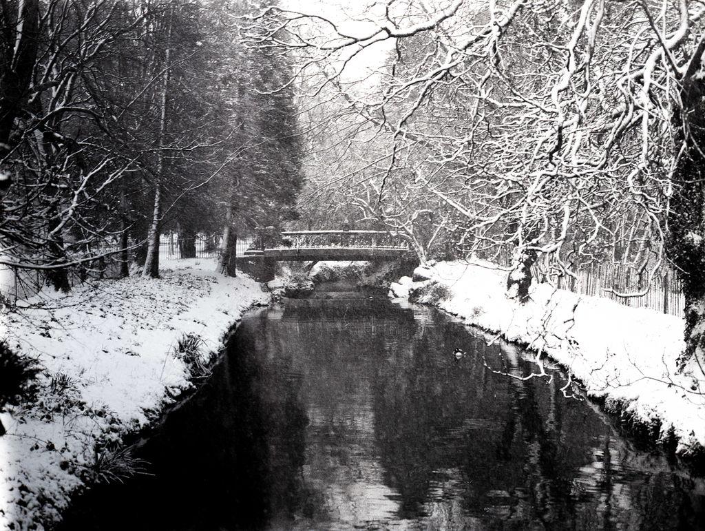 ObsrvntPheasant's tweet photo. 🌨 #CardiffSnow #BelieveInFilm #shootfilmbenice https://t.co/DRb9C70J4L