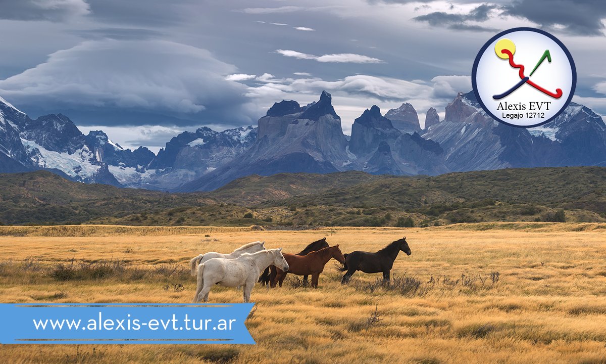 alexis_evt's tweet photo. Disfrutá de la naturaleza natural y pasá unos días de descanso increíbles 😎
Conoce la PATAGONIA 😍👇

+ info Inbox 📩 o whats app 📲 https://t.co/ZxSCPv7D80 ✌️ https://t.co/i1lyYwf60W