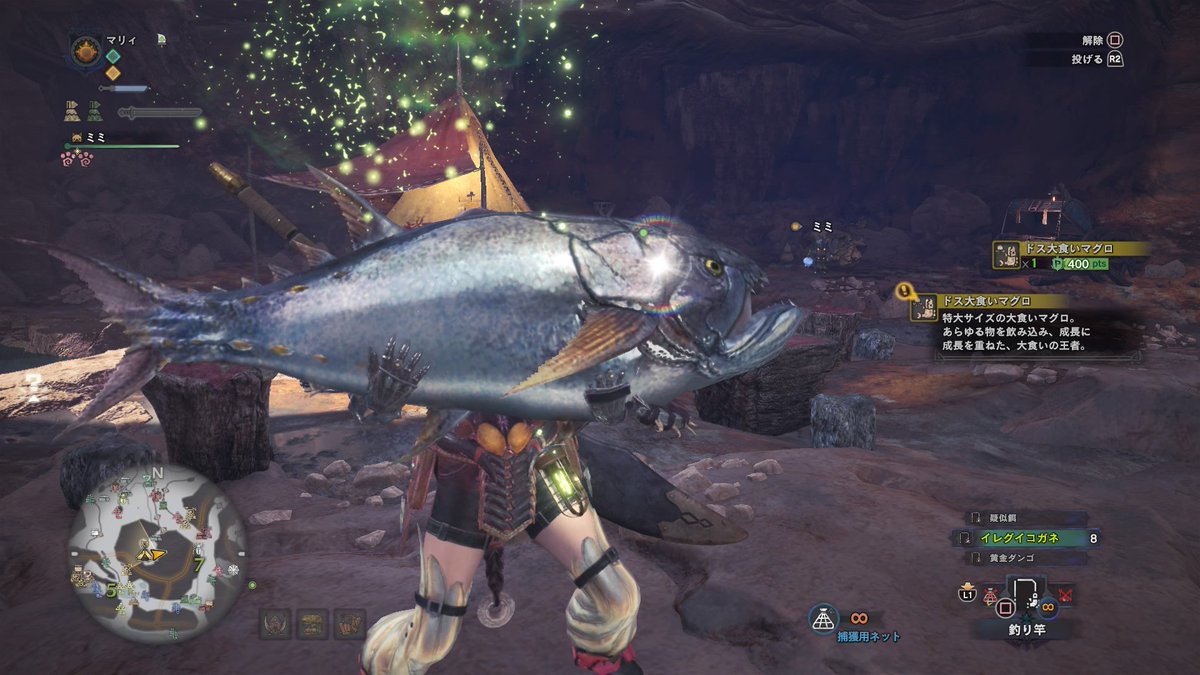 マリィ これがドス大食いマグロ ちなみにこっちが大食いマグロ Mhw マリィのモンハン記録