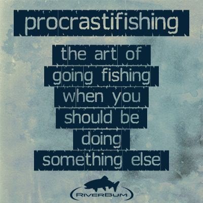 kingfisherfloat's tweet photo. https://t.co/Bf0qhh1zzy