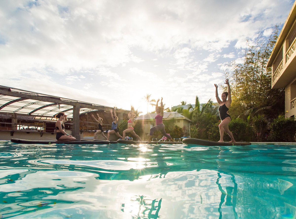 YogaFlow tweet media