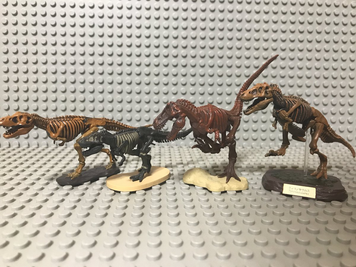 Uzivatel とっしー Na Twitteru カプセルqミュージアム 恐竜発掘記6 恐竜全身骨格展示室のティラノサウルス 大きさ 塗装 共に圧巻の完成度 腹肋骨がいい感じ