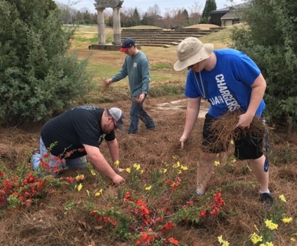phipsiuah's tweet photo. A great day of service to kick off the last week before Spring Break! Thanks to the @HSVBG for having us!
.
.
.
.
#ServiceSunday #RushPhiPsi #LEDN #GoGreek https://t.co/v2A4nrXg0K