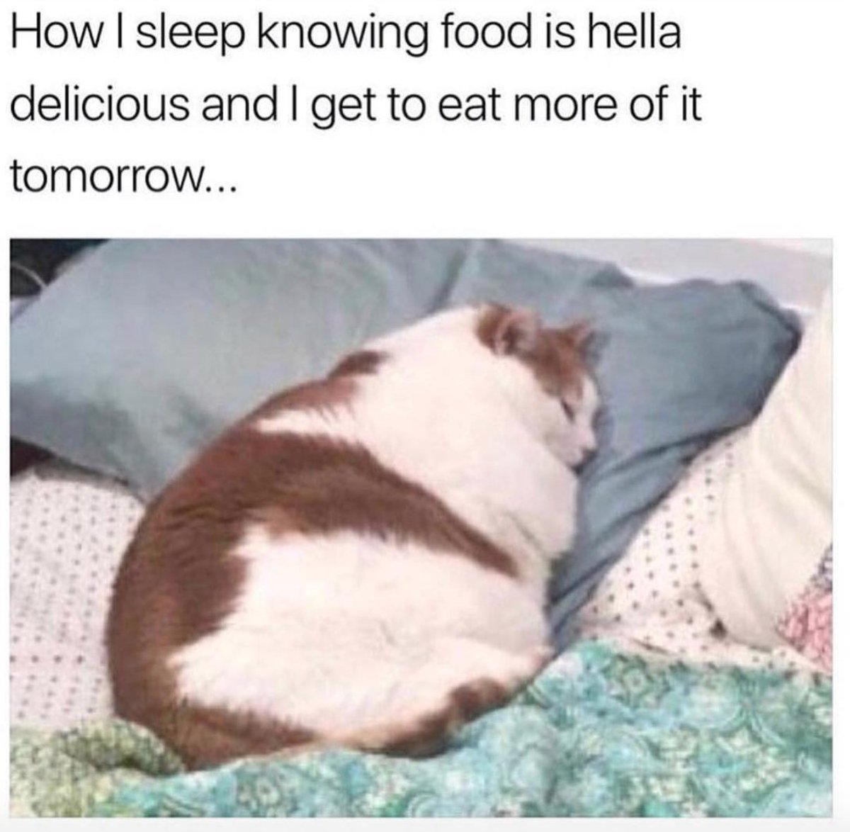 womenshumor's tweet photo. I dream about food https://t.co/Ks8zGIcyO0