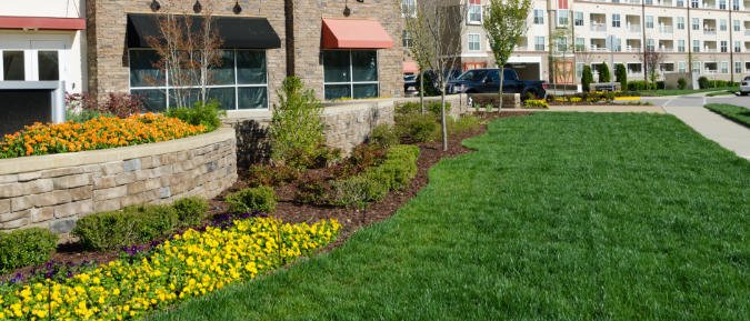 Buddha's Nature Maintenance tweet media