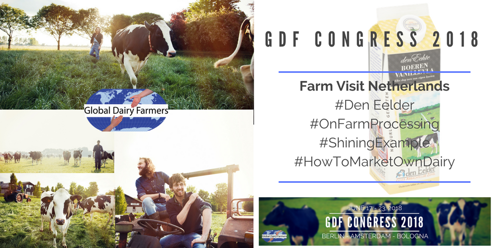GDFnetwork's tweet image. EVENT | We visit den Eelder during our congress! #SuccessStory #OnFarmProcessing #DairyMarketing #OwnProductLine #Inspirational #Dairy #GDFcongress Curious? Check: globaldairyfarmers.com/congress