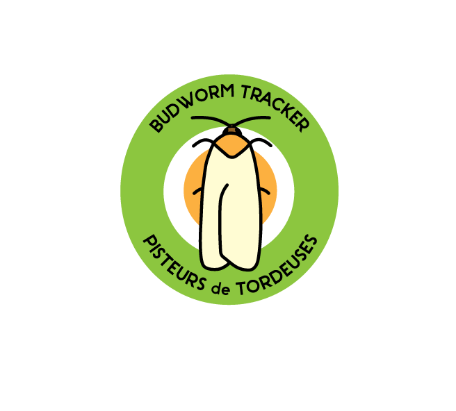 SpicerHeather's tweet photo. BT is hitting the road ๐ In April we are very excited to be travelling to schools across Western Newfoundland and speaking with elementary school students all about #foresty , #climatechange and #budwormtracker ๐๐ฆ๐ท๏ธ๐See you soon! ๐ https://t.co/Aomkca3QnY