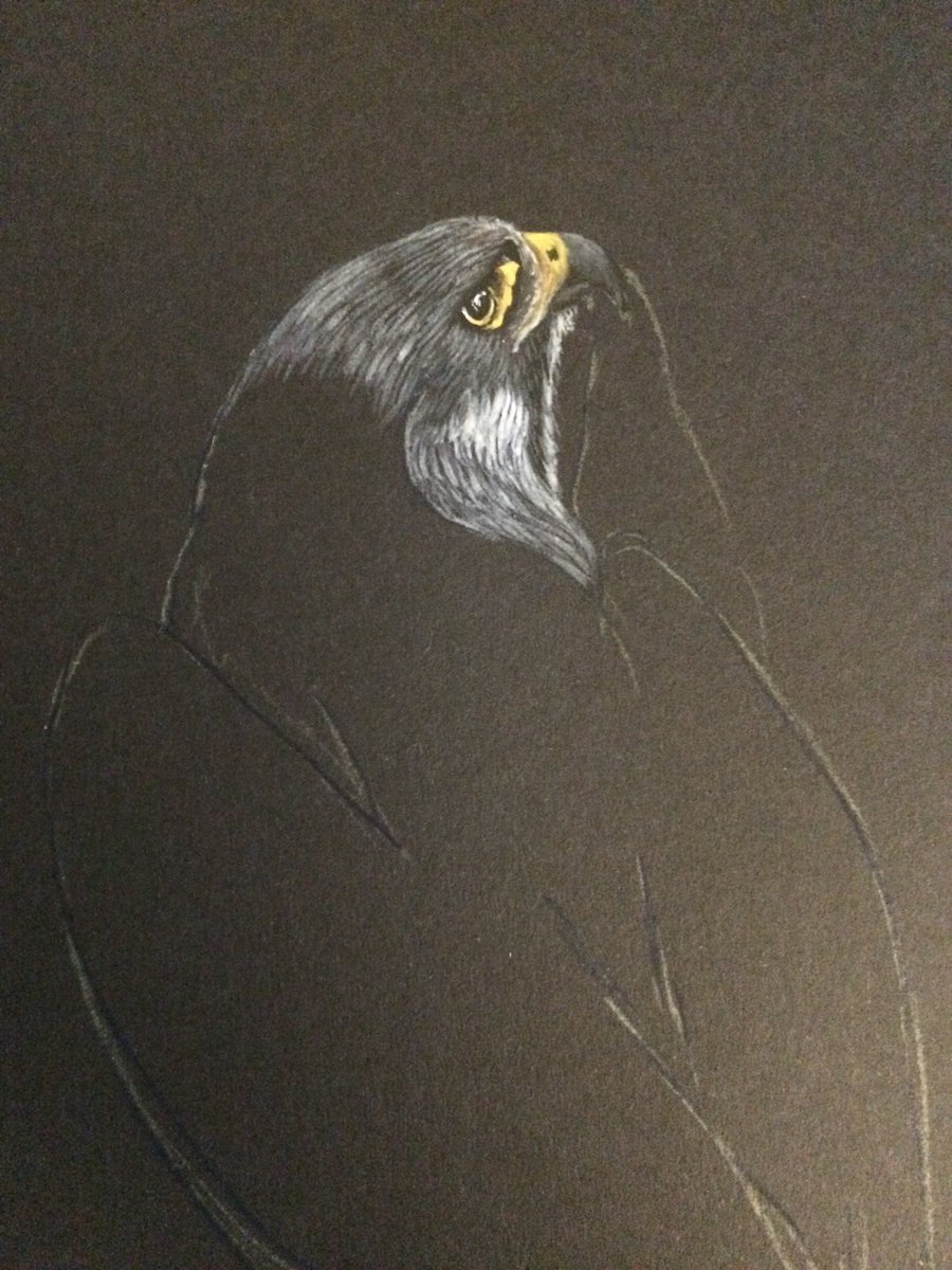 MaliaBarbora's tweet photo. 🕊️
work in progress
#wip #drawing #painting https://t.co/p68EemW5Q6