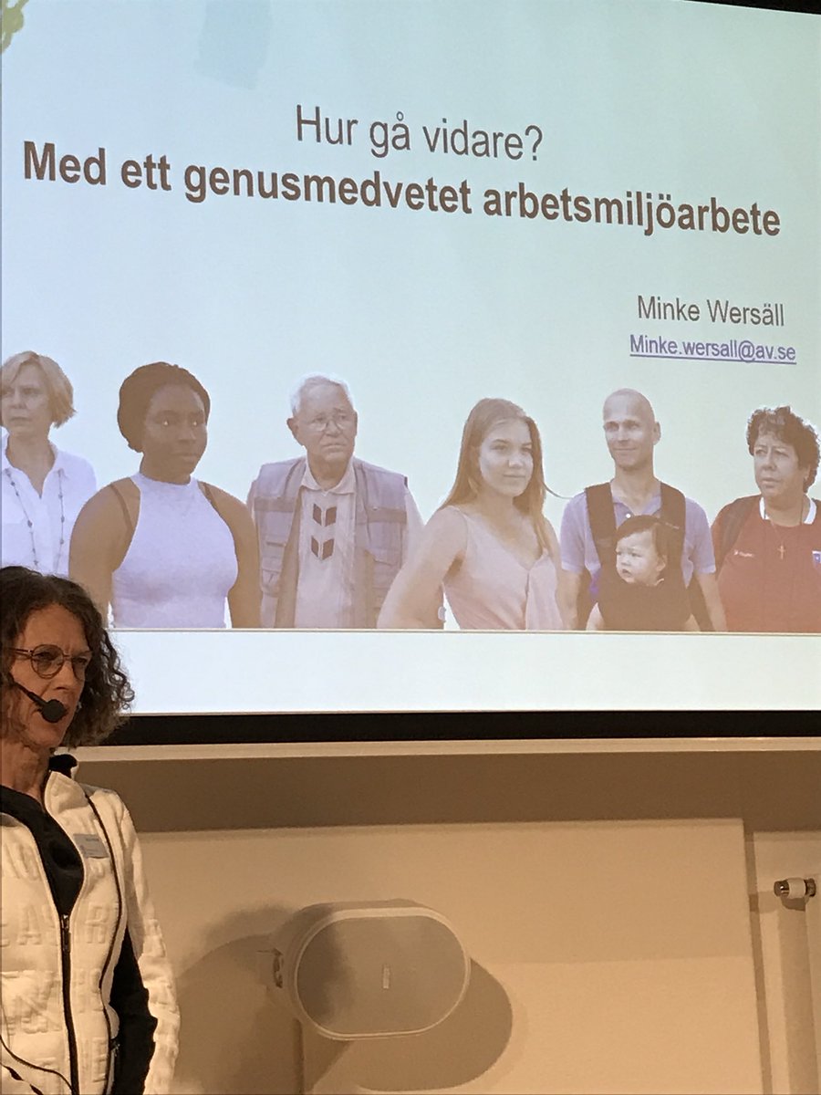 Minke Wersäll, Arbetsmiljöverket berättar om sina erfarenheter om ett systematiskt genusmedvetet arbetsmiljöarbete #sjöfart #vågrätt #WISTA