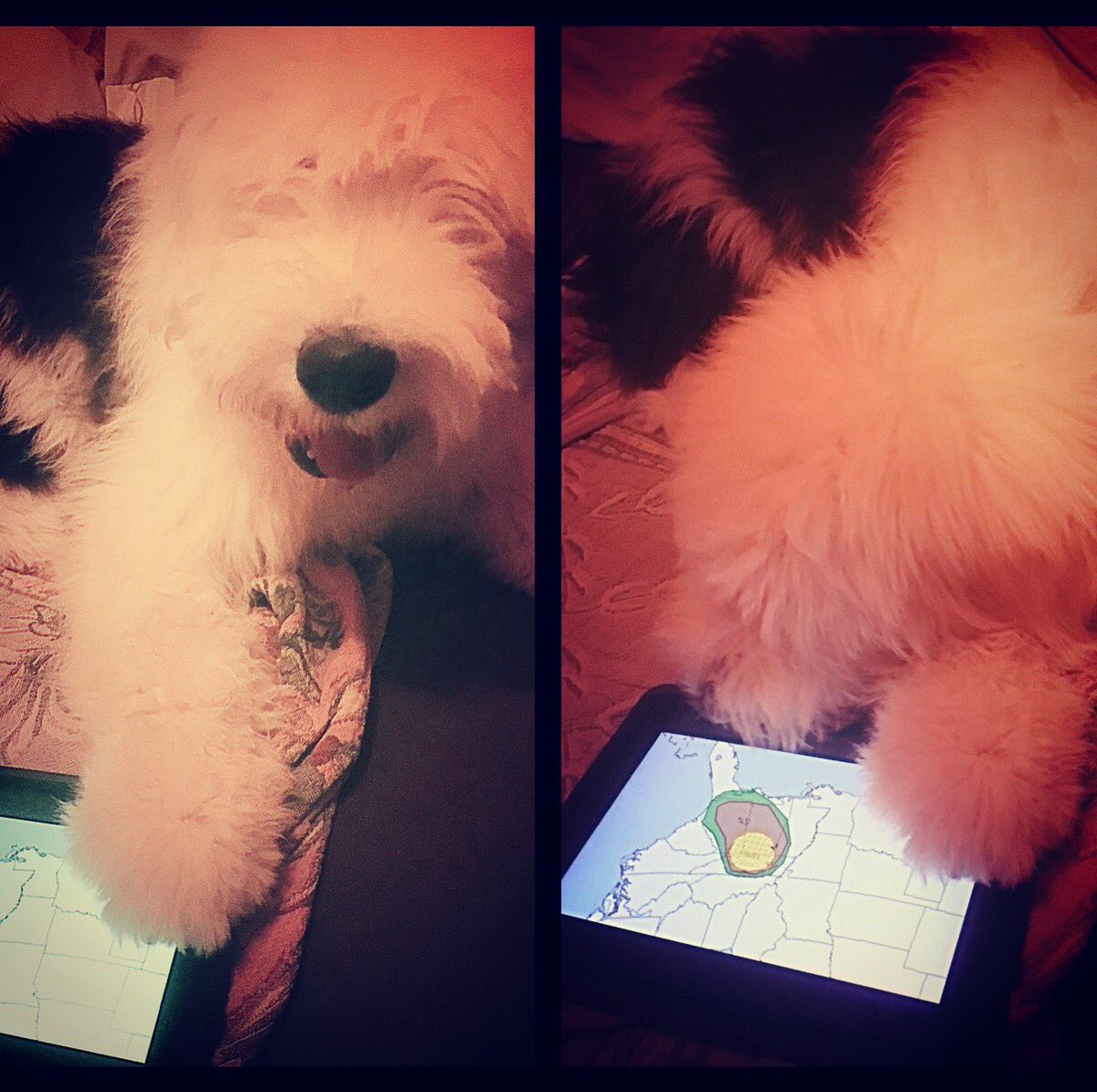 _if_these_walls's tweet image. Victor wanted me to make sure you all kept at least half an eye on the weather today. He will be. #readtheblog #alwx @spann @rayJeromewalls