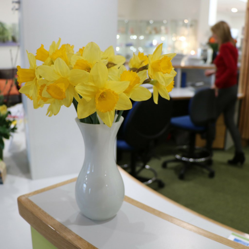 ArthurRankHouse's tweet image. Nothing better than a bunch of daffodils to brighten up your day! #springisonitsway