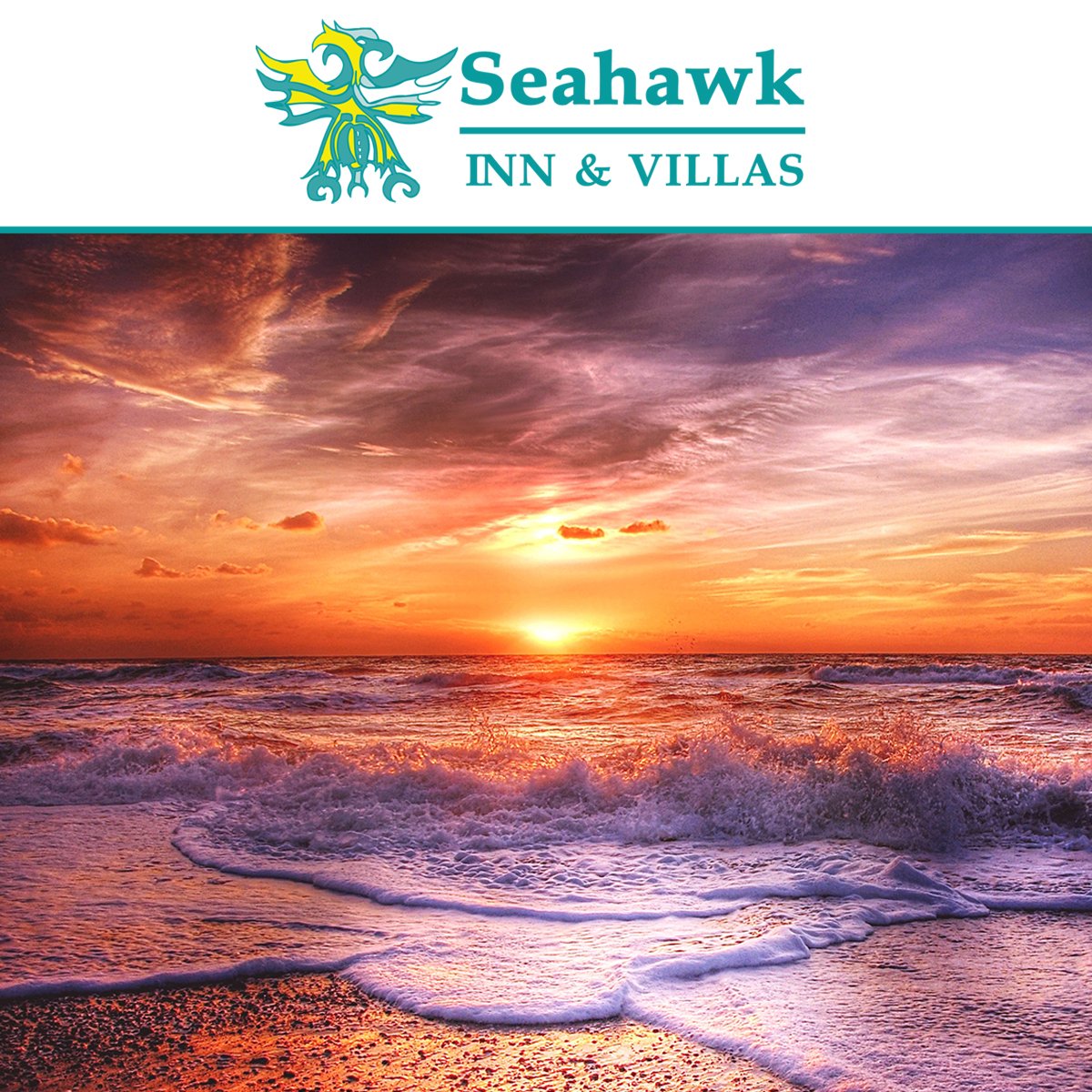 SeahawkInn's tweet image. Need some quality time just for yourself? Come stay at the #SeahawkInn and create great memories from your favorite place to be in #AtlanticBeach! Now is a wonderful time to spend quality time on #EmeraldIsle. Call today to book your stay with us on (252) 726-4146.