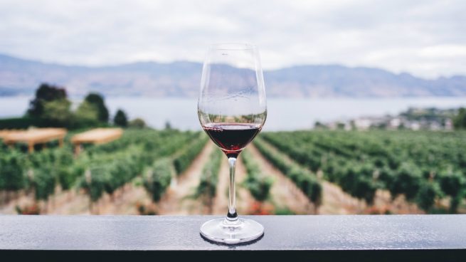 J.Chivite F. Estates (@chiviteestates) on Twitter photo ¿En qué países dirías que se bebe más vino? Descúbrelo vía <a href="/okdiario/">okdiario.com</a> ow.ly/y3Zm30j2bf6 ¿En qué países dirías que se bebe más vino? Descúbrelo vía <a href="/okdiario/">okdiario.com</a> ow.ly/y3Zm30j2bf6