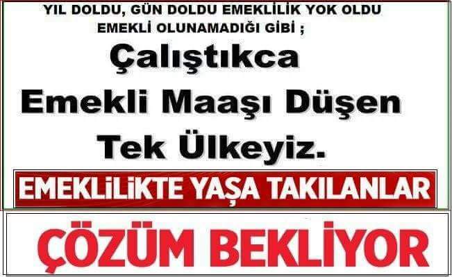 @ERDALERGL5 @MelahatAkta1 @tcbestepe @TC_Basbakan @jsarieroglu @dbdevletbahceli @_DidemEngin #EYTSiyasilerinDilinde