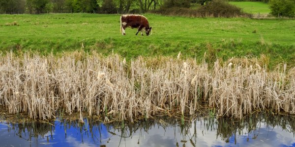 World Water Day is coming up! To celebrate, let’s focus this year on urban ag, crop farming and changing the way we eat. ow.ly/f9NW30j1UQS